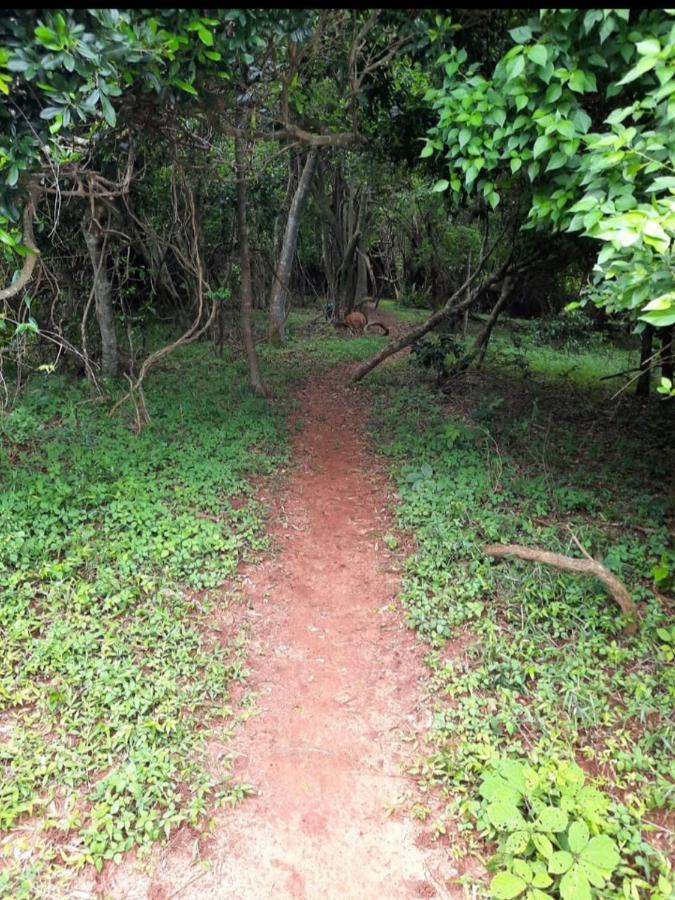 شقة No 2 Heleza Blvd Sibaya, Ocean Deuns, Umhlanga Durban أومدلوتي المظهر الخارجي الصورة